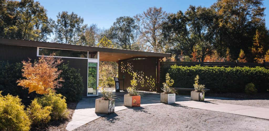 A modern building with a flat roof, surrounded by trees and shrubs. Large planters with plants are placed near the entrance, and sunlight casts shadows on the ground. The sky is clear and blue.
